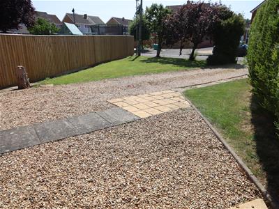 Picture 14